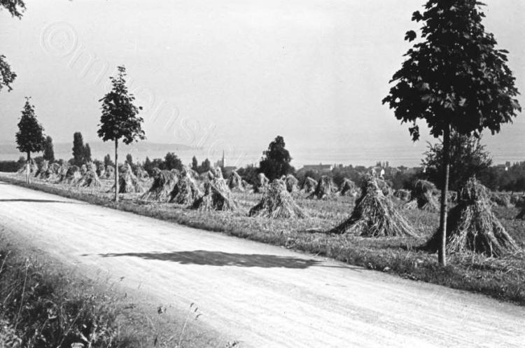 Strasse nach Schönenbaumgarten