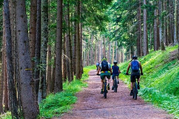 Velofahrer im Wald