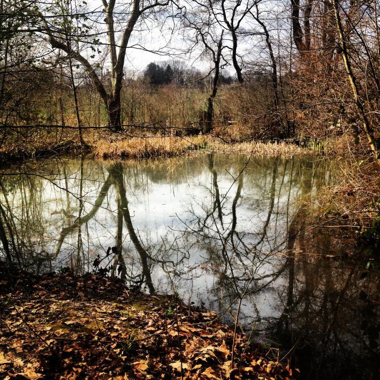 Etang des Ecrevisses