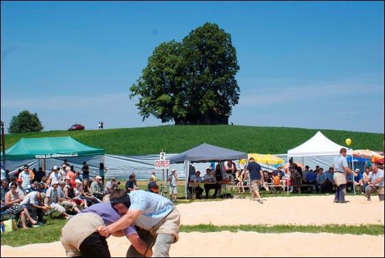 Jährlich findet auf dem Michealskreuz ein Schwingfest statt.