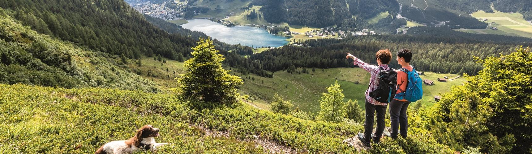 Wandern