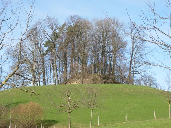 Turmhubel Gutenburg