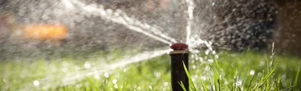 Wässerwasser