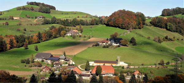 Fuhren, Foto Hans Schuler