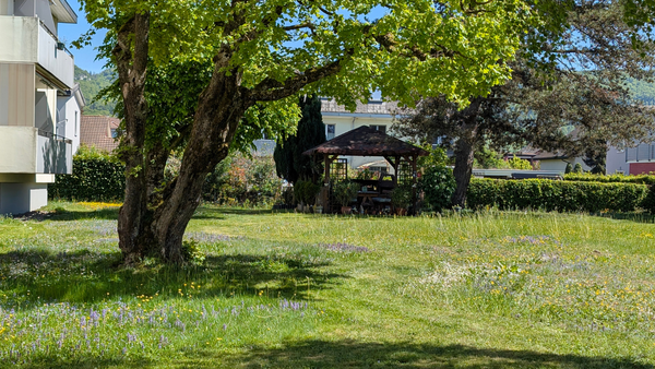 Biodiversität im Siedlungsraum