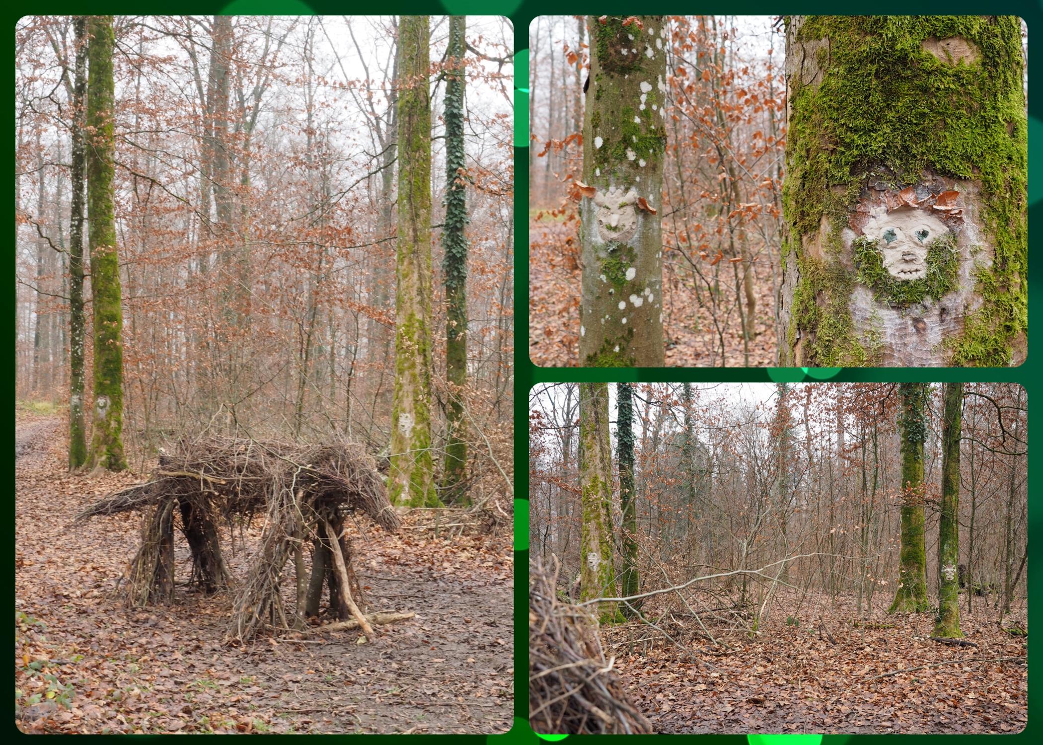 WaldbewohnerInnen
