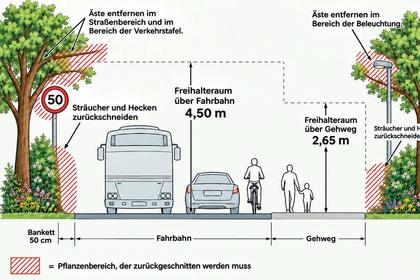 Grafische Darstellung über die Bestimmungen für Hecken und Sträuchern zur Fahrbahn und Gehweg