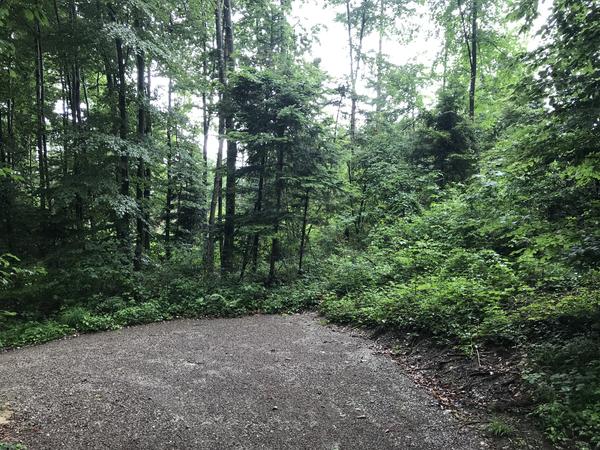 Hügelrundweg Effretikon; 13 Asperg