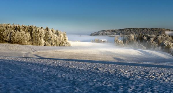 Winterbild