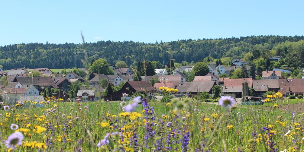 Humlikon