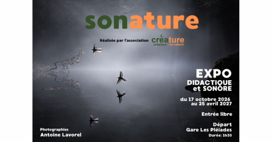 Sonature