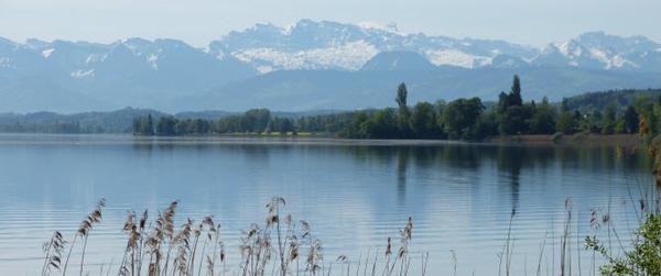 Bild Greifensee