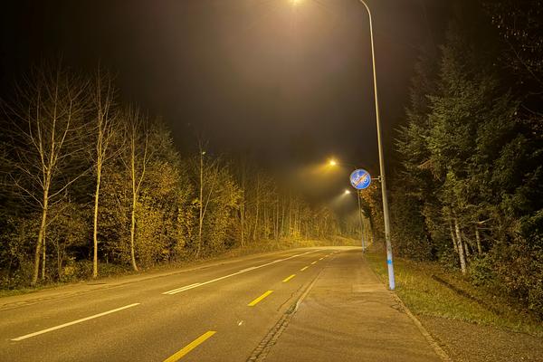 Strassenbeleuchtung Winterthurerstrasse