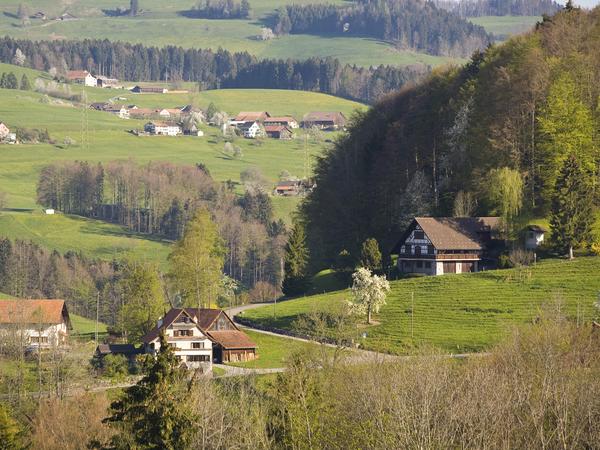 Haltberg