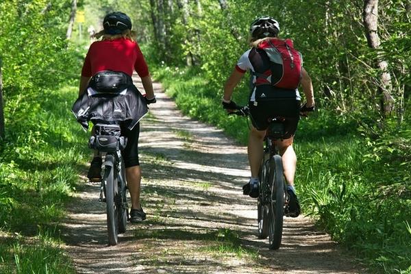 Biken im Wald