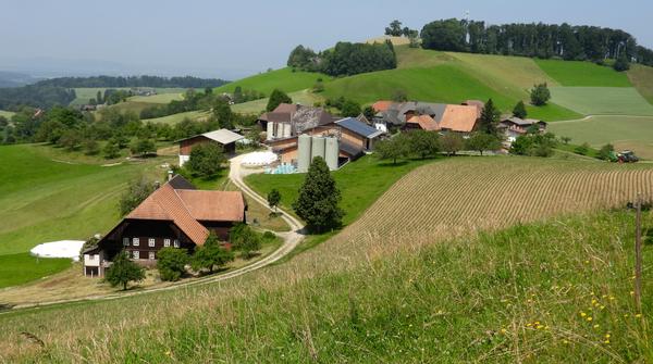 Ferrenberg Foto Hans Schuler 2025