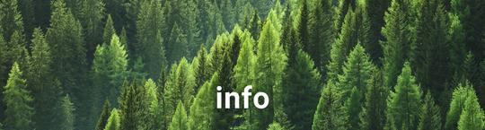 Wald mit Schriftzug info