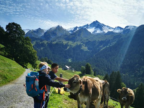 Herbstwanderung MS1 22