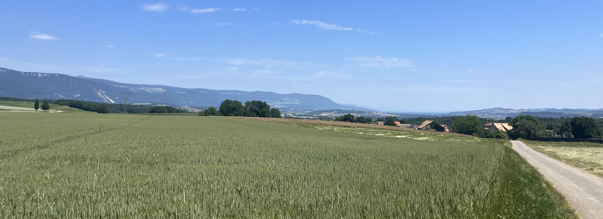 Bofflens