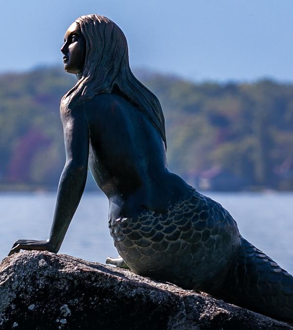 sirène