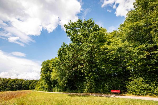 Hügelrundweg Effretikon; 8 Chämtenrain