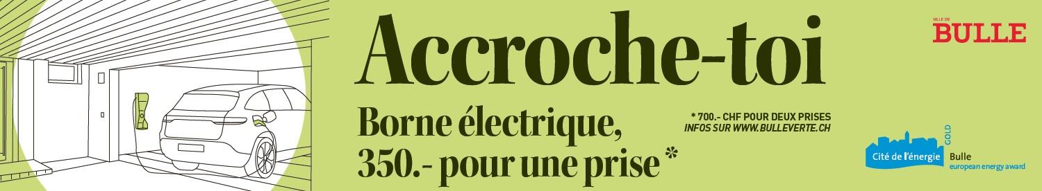 borne électrique