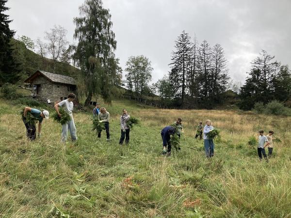 Foto 3. OS im Umwelteinsatz