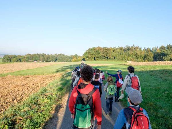 Herbstwanderung 16