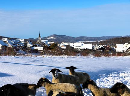 Metzerlen-Mariastein