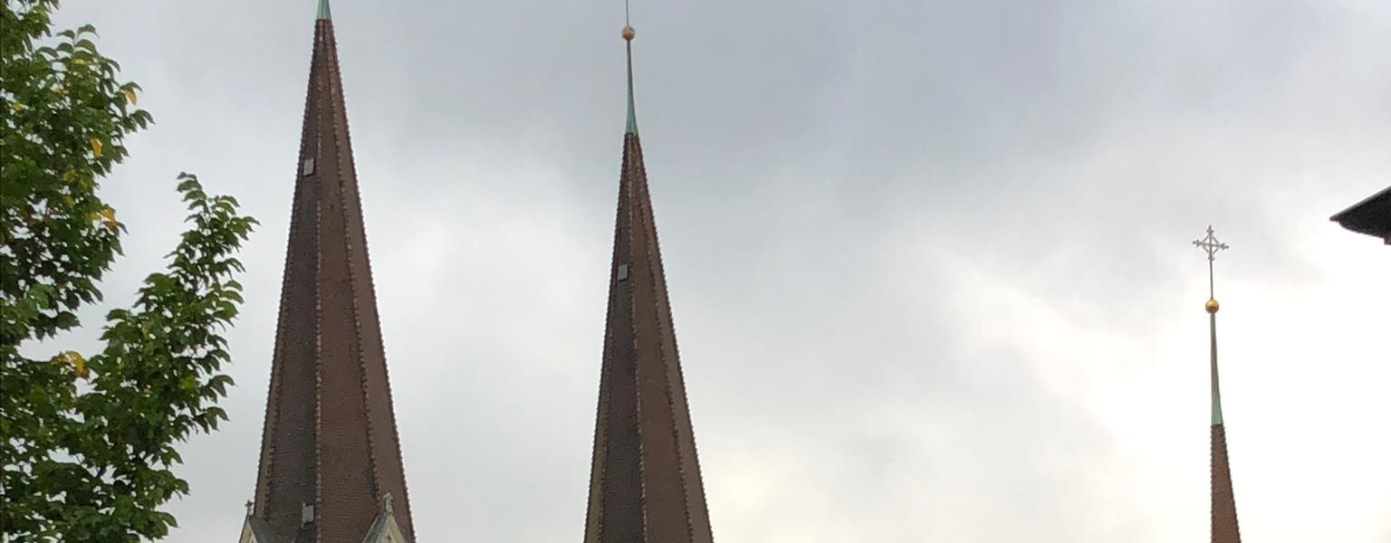Parkleitsystem Olten