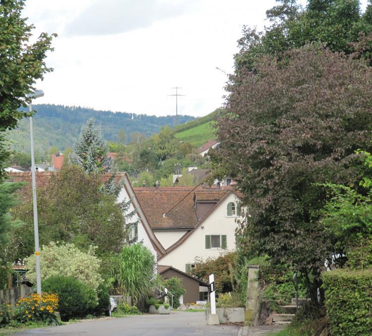 Jakob Bosshart-Strasse