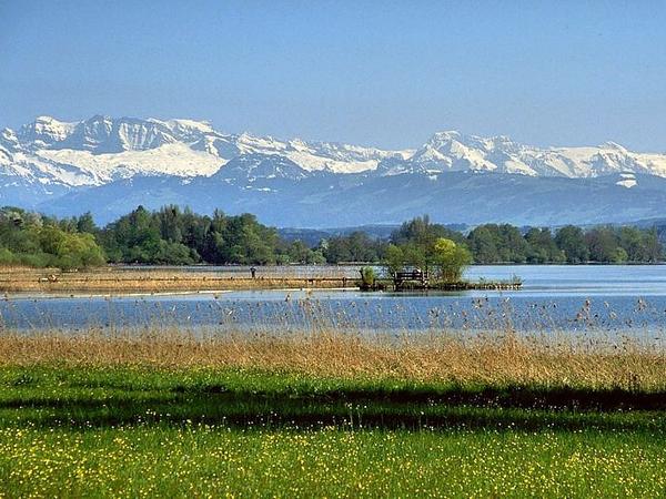 Landschaft