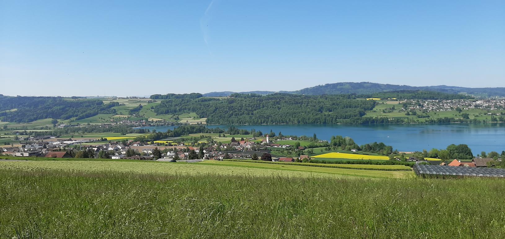 Blick auf Aesch LU