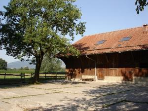 Tratthof