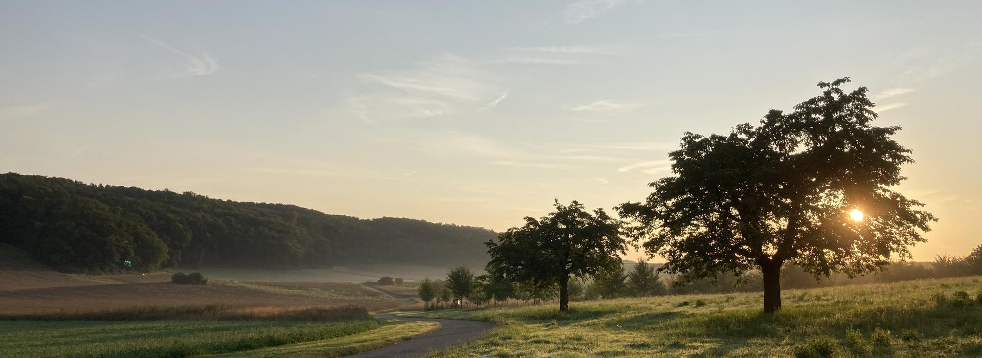 Frühling