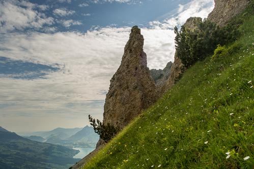 Giswilerstock