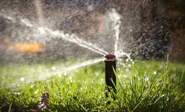 Wässerwasser