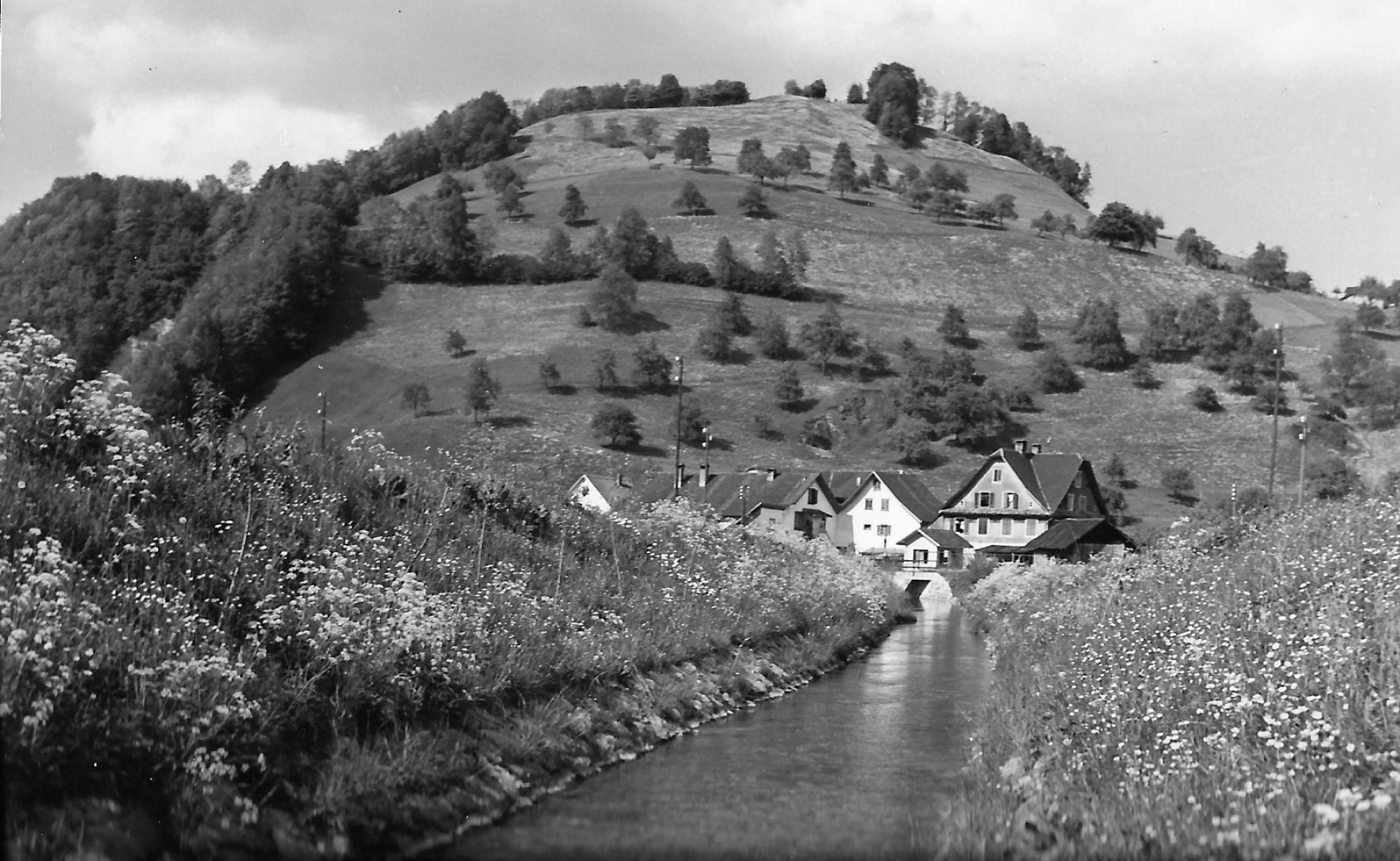 Der Mehlbach im neuen Kanal