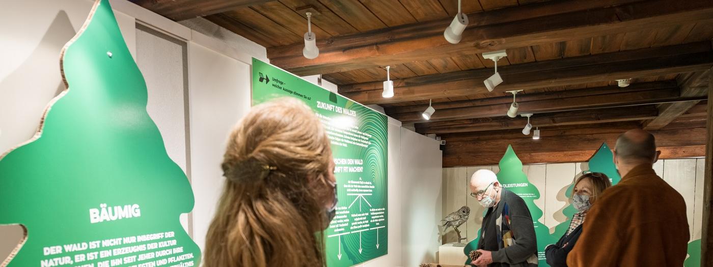 Ausstellungsansicht, «Bäumig», 2021