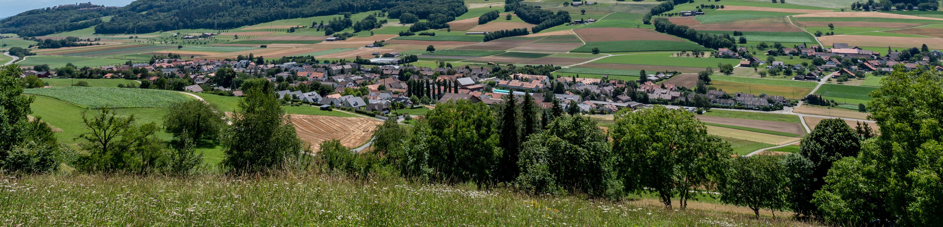 Oberweningen
