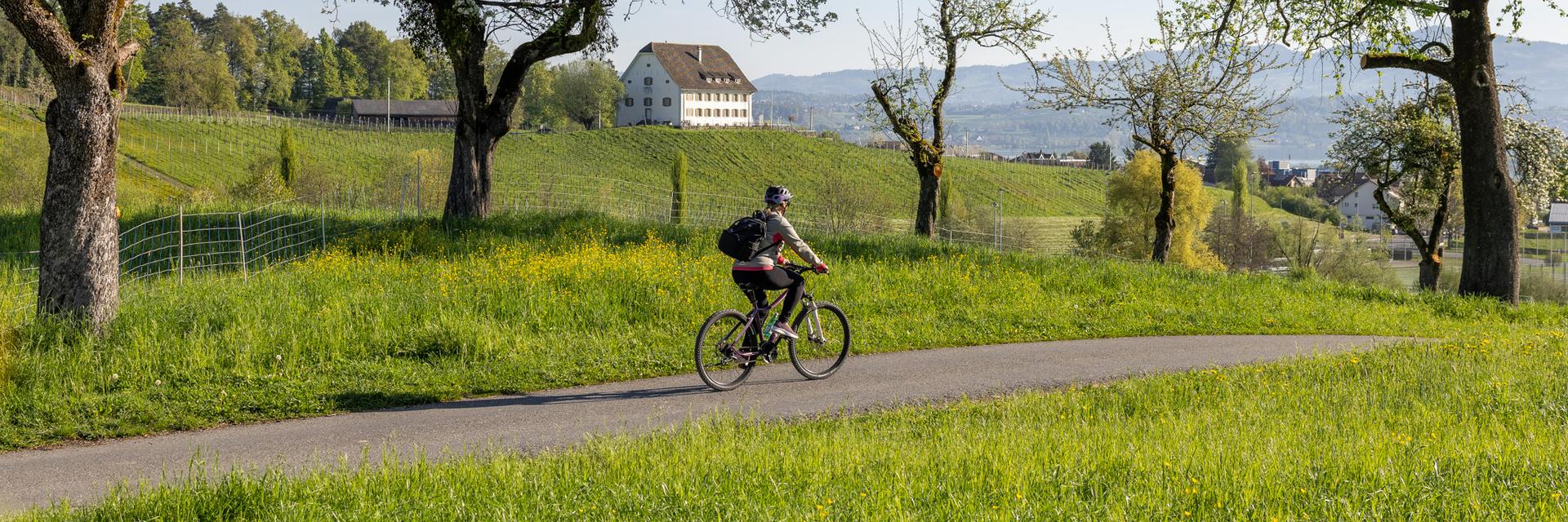Kunstweg Velo