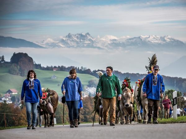 1. Rang Fotowettbewerb Gwerbfäscht Wald - Viehschau