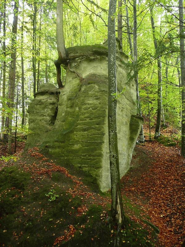 Burg Grimmenstein