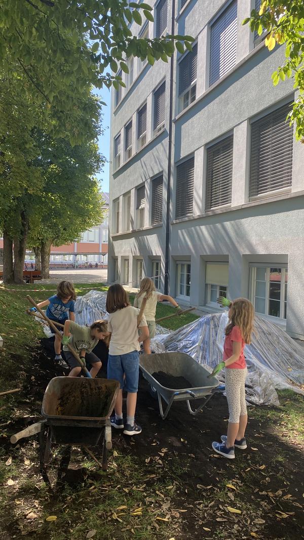 Gartenprojekt im Rainfeld 