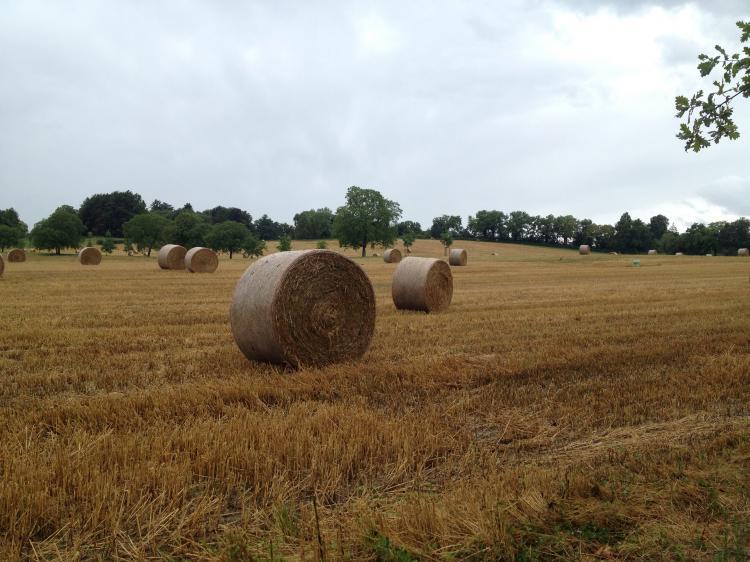 La campagne de Tournay