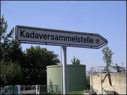 Kadaversammelstelle - Wegweiser