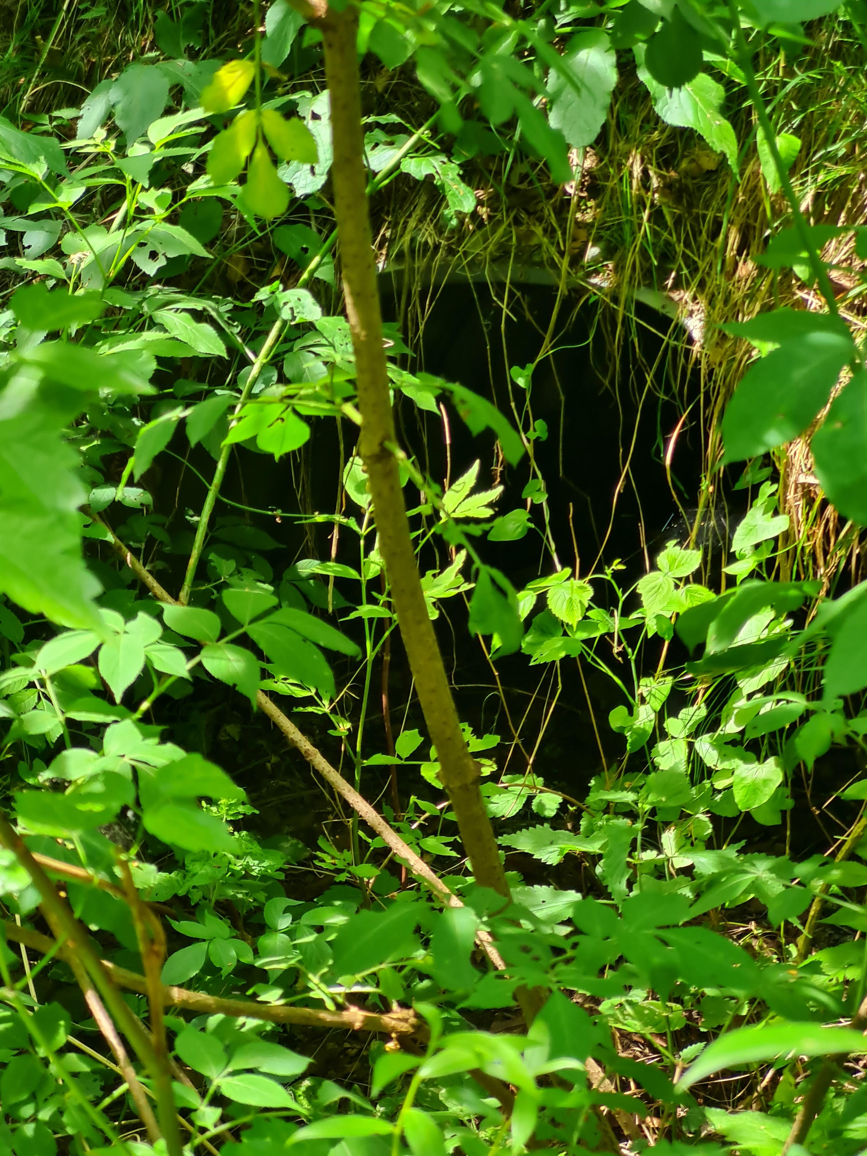 Kleintierdurchlass