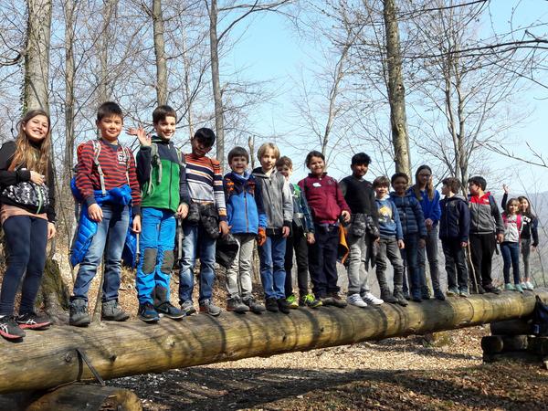 Kinder-Gruppefoto im Wald