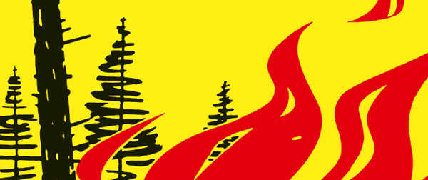Feuerverbot im Wald und in Waldesnähe aufgehoben