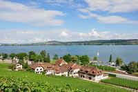 Blick auf Wingreis